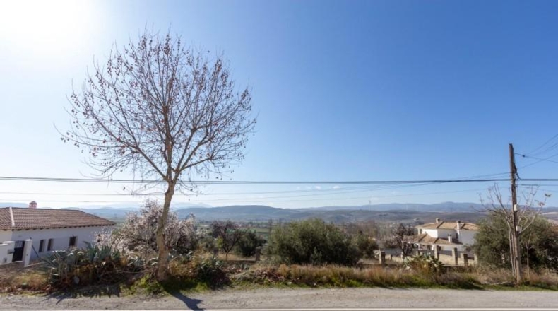 Granada - Padul - 1343m2