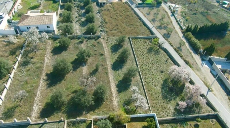 Granada - Padul - 1343m2