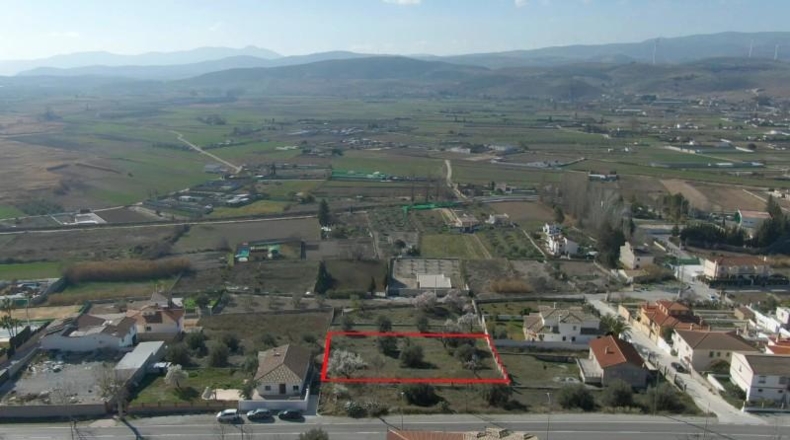 Granada - Padul - 1343m2