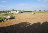 Terreno no urbanizable en venta en la España, Felanitx, ref: TR312729 foto