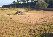 Terreno no urbanizable en venta en la España, Felanitx, ref: TR312729 foto