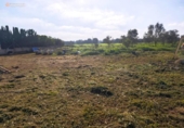 Terreno no urbanizable en venta en la España, Felanitx, ref: TR312729 foto