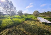 Terreno no urbanizable en venta en la España, Felanitx, ref: TR312729 foto