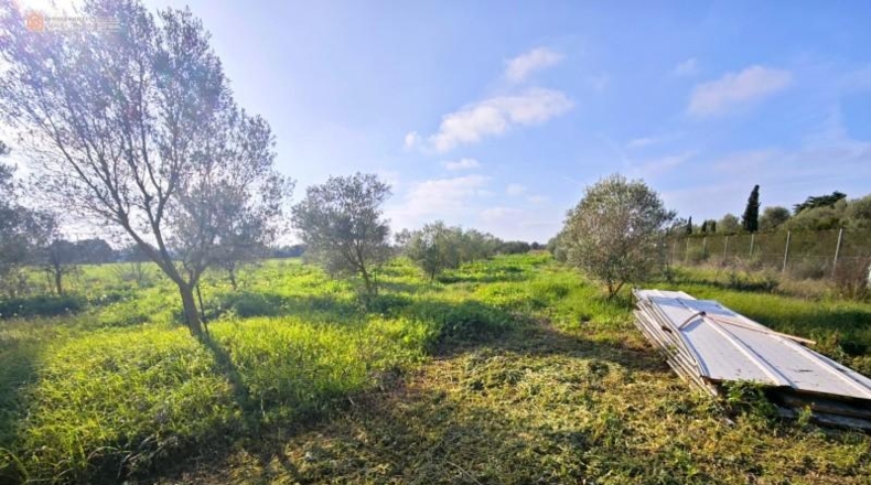Islas Baleares - Felanitx - 2689m2