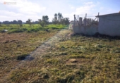 Terreno no urbanizable en venta en la España, Felanitx, ref: TR312729 foto