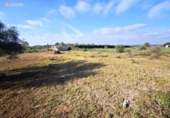 Terreno no urbanizable en venta en la España, Felanitx, ref: TR312729 foto