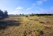 Terreno no urbanizable en venta en la España, Felanitx, ref: TR312729 foto