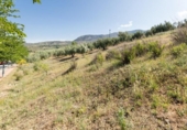 Parcela urbanizable en venta en la España, Alfacar, ref: TR309157 foto
