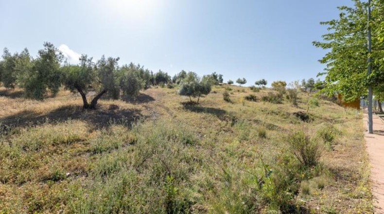 Granada - Alfacar - 400m2