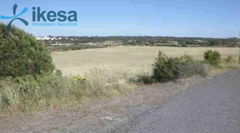 Huelva - Lepe - 8052m2