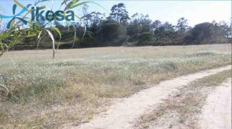 Huelva - Lepe - 8052m2