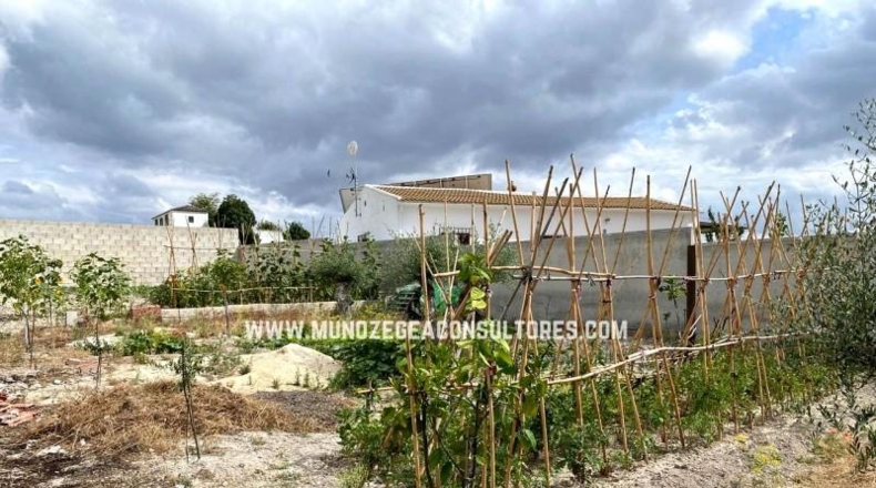 Córdoba - Moriles - 700m2