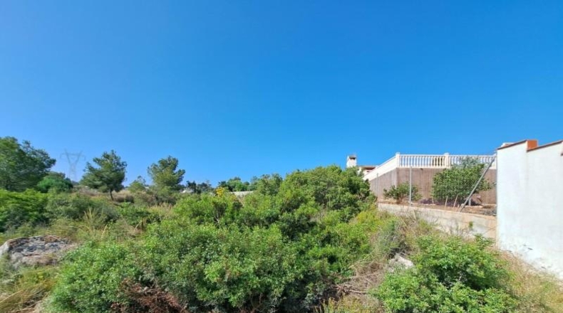 Valencia - Alberic - 1648m2