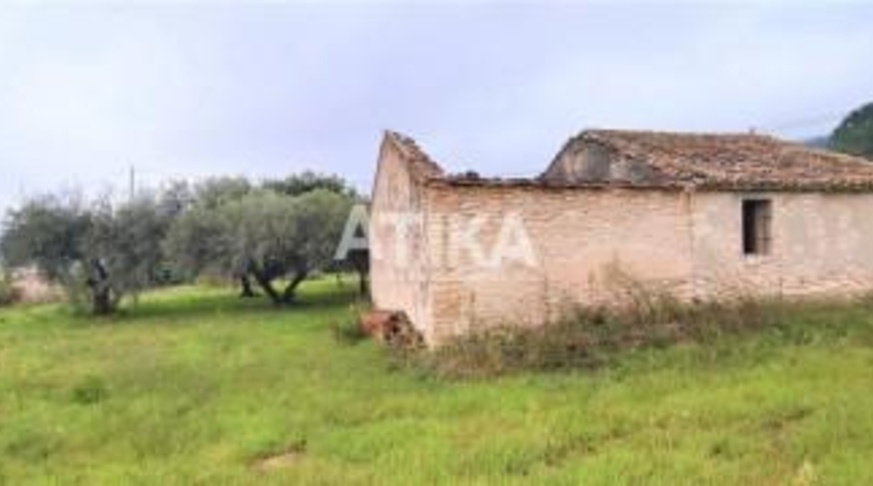 València - Onteniente - 16126m2