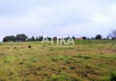 Parcela urbanizable en venta en la España, Ontinyent, ref: TR119806 foto