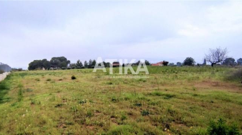 València - Onteniente - 16126m2