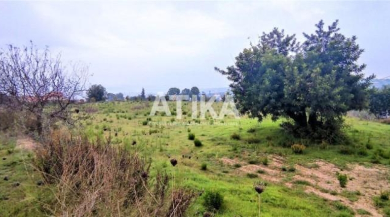 València - Onteniente - 16126m2
