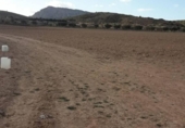 Terreno no urbanizable en venta en la España, Almansa, ref: TR239123 foto