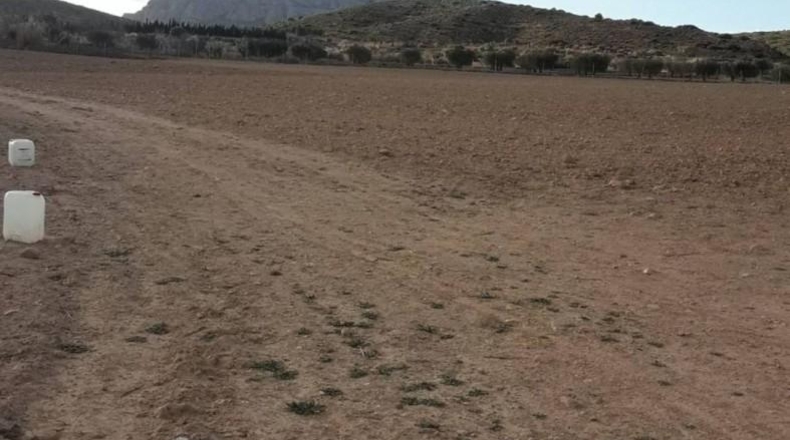 Albacete - Almansa - 32000m2