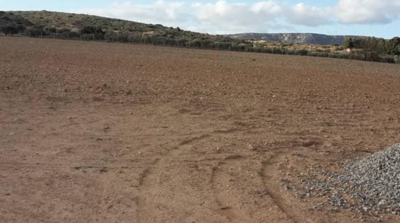 Albacete - Almansa - 32000m2