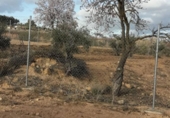 Terreno no urbanizable en venta en la España, Almansa, ref: TR239123 foto