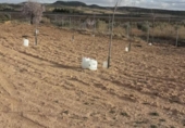 Terreno no urbanizable en venta en la España, Almansa, ref: TR239123 foto