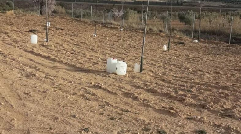 Albacete - Almansa - 32000m2