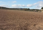 Terreno no urbanizable en venta en la España, Almansa, ref: TR239123 foto