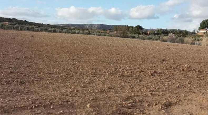 Albacete - Almansa - 32000m2