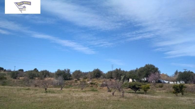 València - Agullent - 19272m2