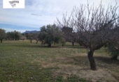 Terreno no urbanizable en venta en la España, Agullent, ref: TR123944 foto