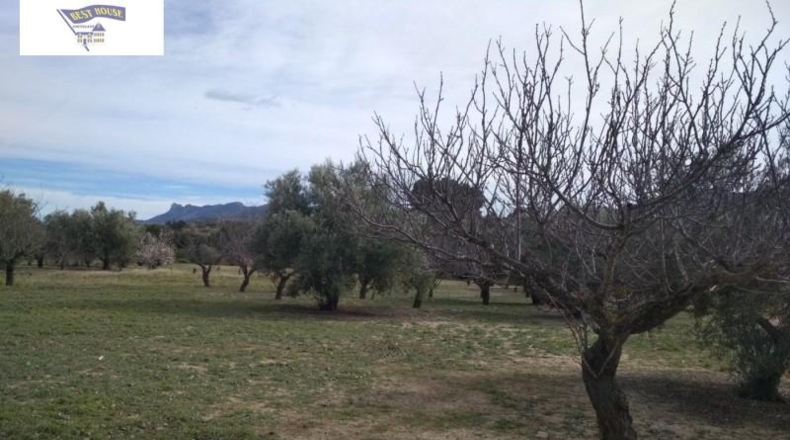 València - Agullent - 19272m2