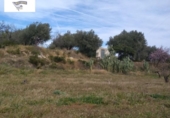 Terreno no urbanizable en venta en la España, Agullent, ref: TR123944 foto