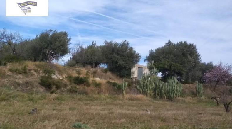 València - Agullent - 19272m2