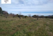 Terreno no urbanizable en venta en la España, Agullent, ref: TR123944 foto