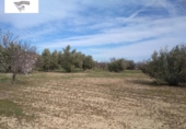 Terreno no urbanizable en venta en la España, Agullent, ref: TR123944 foto