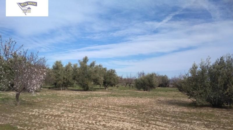 València - Agullent - 19272m2