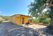 Terreno no urbanizable en venta en la España, Alberic, ref: TR123975 foto
