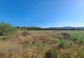 Terreno no urbanizable en venta en la España, Alberic, ref: TR123975 foto