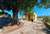 Terreno no urbanizable en venta en la España, Alberic, ref: TR123975 foto