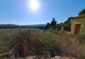 Terreno no urbanizable en venta en la España, Alberic, ref: TR123975 foto