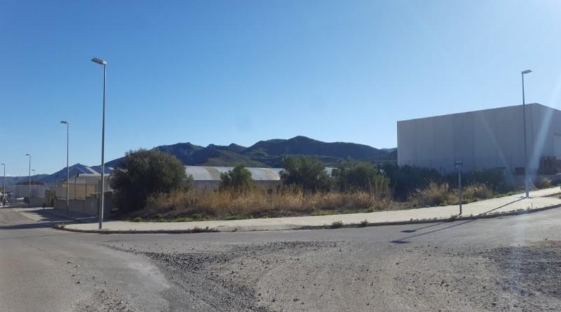 València - Mogente - 828m2