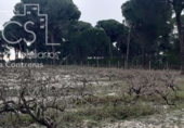 Terreno no urbanizable en venta en la España, Almonte, ref: TR306787 foto