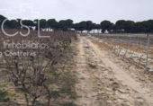 Terreno no urbanizable en venta en la España, Almonte, ref: TR306787 foto