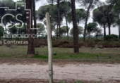 Terreno no urbanizable en venta en la España, Almonte, ref: TR306787 foto