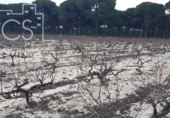 Terreno no urbanizable en venta en la España, Almonte, ref: TR306787 foto