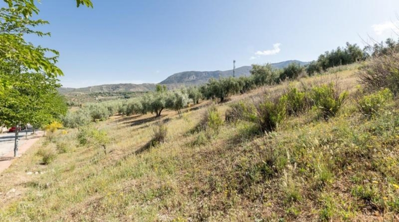 Granada - Alfacar - 400m2