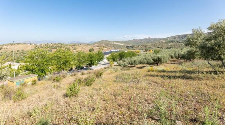Granada - Alfacar - 400m2