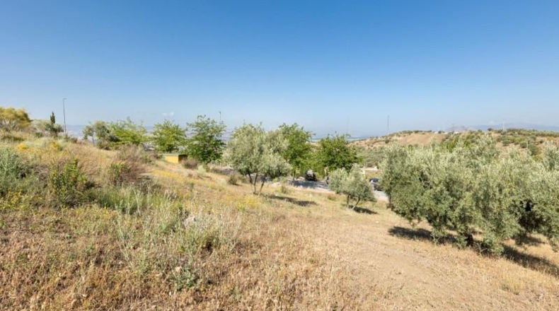 Granada - Alfacar - 400m2