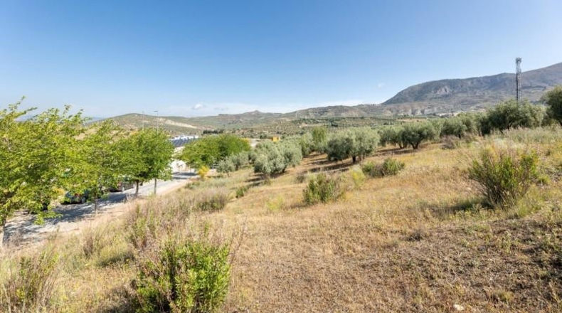 Granada - Alfacar - 400m2